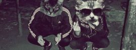Парные авы с котиками